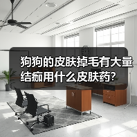 狗狗的皮肤掉毛有大量结痂用什么皮肤药？（图1）