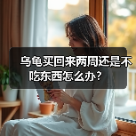 乌龟买回来两周还是不吃东西怎么办？（图2）