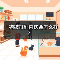 狗被打到内伤会怎么样？（图4）