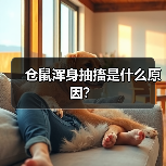 仓鼠浑身抽搐是什么原因？（图1）