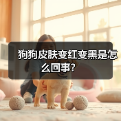 狗狗皮肤变红变黑是怎么回事？（图3）