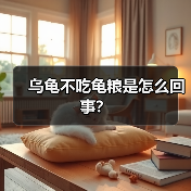 乌龟不吃龟粮是怎么回事？（图4）