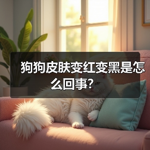 狗狗皮肤变红变黑是怎么回事？（图1）