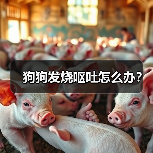 狗狗发烧呕吐怎么办？（图3）
