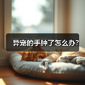 异宠的手肿了怎么办？（图1）
