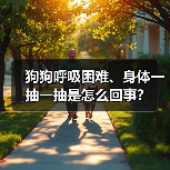 狗狗呼吸困难、身体一抽一抽是怎么回事？（图1）