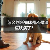 怎么判断猫咪是不是得皮肤病了？（图3）
