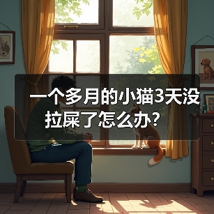 一个多月的小猫3天没拉屎了怎么办？（图1）