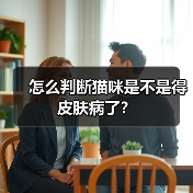 怎么判断猫咪是不是得皮肤病了？（图4）