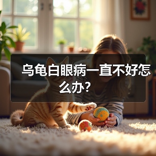 乌龟白眼病一直不好怎么办？（图2）