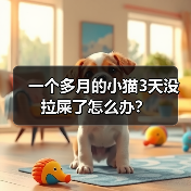 一个多月的小猫3天没拉屎了怎么办？（图2）