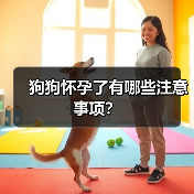 狗狗怀孕了有哪些注意事项？（图1）