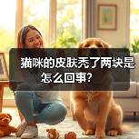 猫咪的皮肤秃了两块是怎么回事?(图1) 猫咪的皮肤秃了两块是怎么回事?(图1)