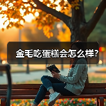 金毛吃蛋糕会怎么样？（图3）