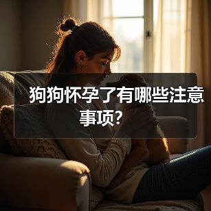狗狗怀孕了有哪些注意事项？（图3）