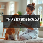 怀孕狗吃猪蹄会怎么样？（图4）