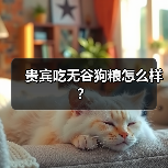 贵宾吃无谷狗粮怎么样？（图1）