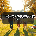 贵宾吃无谷狗粮怎么样？（图4）