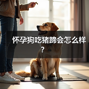 怀孕狗吃猪蹄会怎么样？（图3）