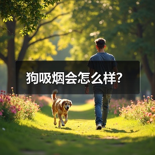 狗吸烟会怎么样？（图1）