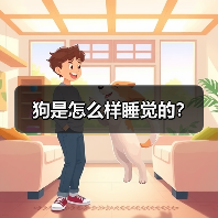 狗是怎么样睡觉的？（图4）