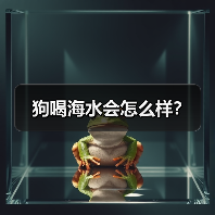 狗喝海水会怎么样？（图4）