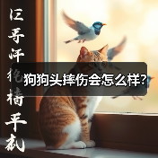 狗狗头摔伤会怎么样？（图1）