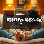 狗狗打哈欠是怎么样的？（图4）