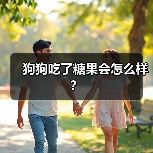狗狗吃了糖果会怎么样？（图4）