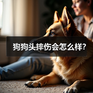 狗狗头摔伤会怎么样？（图2）