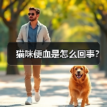 猫咪便血是怎么回事？（图3）