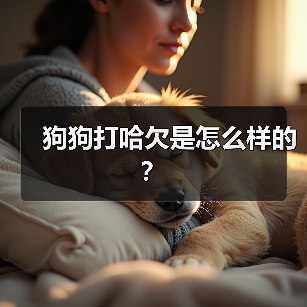 狗狗打哈欠是怎么样的？（图1）