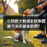 小猫脸上有很多脏东西是污渍还是皮肤病？（图2）