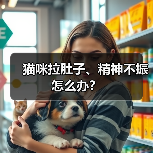 猫咪拉肚子、精神不振怎么办？（图2）