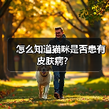 怎么知道猫咪是否患有皮肤病？（图4）