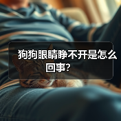 狗狗眼睛睁不开是怎么回事？（图4）