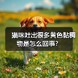 猫咪吐出很多黄色黏稠物是怎么回事？（图3）