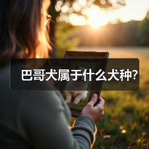 巴哥犬属于什么犬种？（图1）