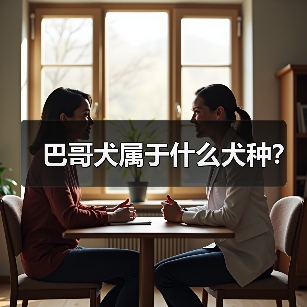 巴哥犬属于什么犬种？（图4）