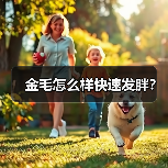 金毛怎么样快速发胖?(图1) 金毛怎么样快速发胖?(图1)