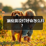 猫疫苗没打好会怎么样？（图2）