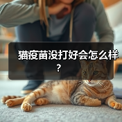 猫疫苗没打好会怎么样？（图4）