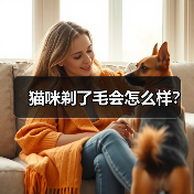 猫咪剃了毛会怎么样？（图1）