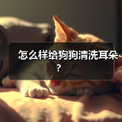 怎么样给狗狗清洗耳朵？（图3）