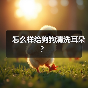 怎么样给狗狗清洗耳朵？（图4）