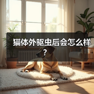 猫体外驱虫后会怎么样?(图3) 猫体外驱虫后会怎么样?(图3)