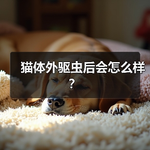 猫体外驱虫后会怎么样?(图4) 猫体外驱虫后会怎么样?(图4)