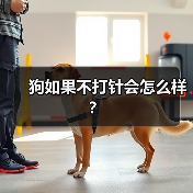 狗如果不打针会怎么样？（图1）
