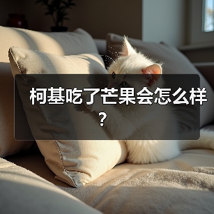 柯基吃了芒果会怎么样？（图4）