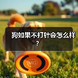 狗如果不打针会怎么样？（图2）